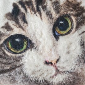 Cat | 5″x5″