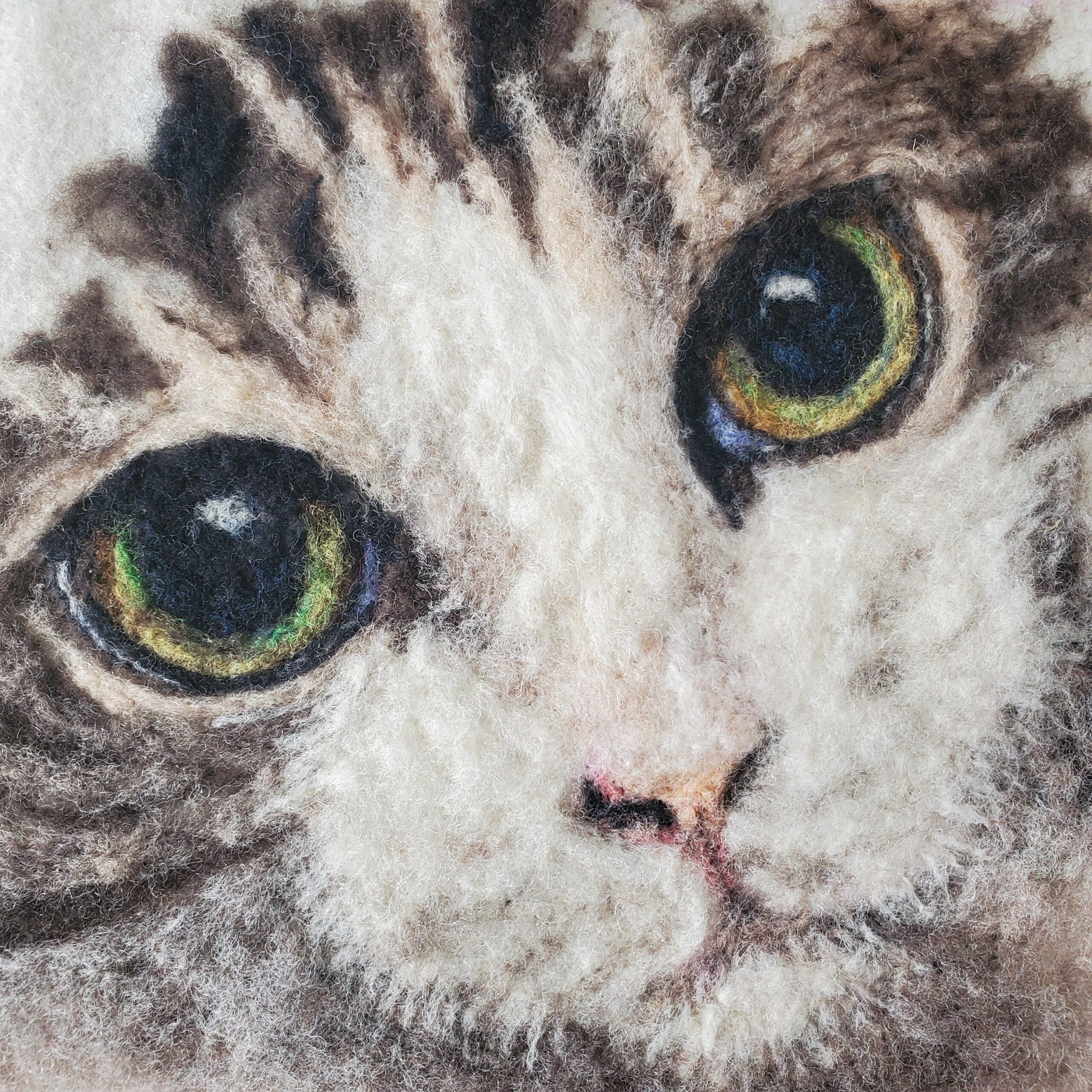 Cat | 5″x5″